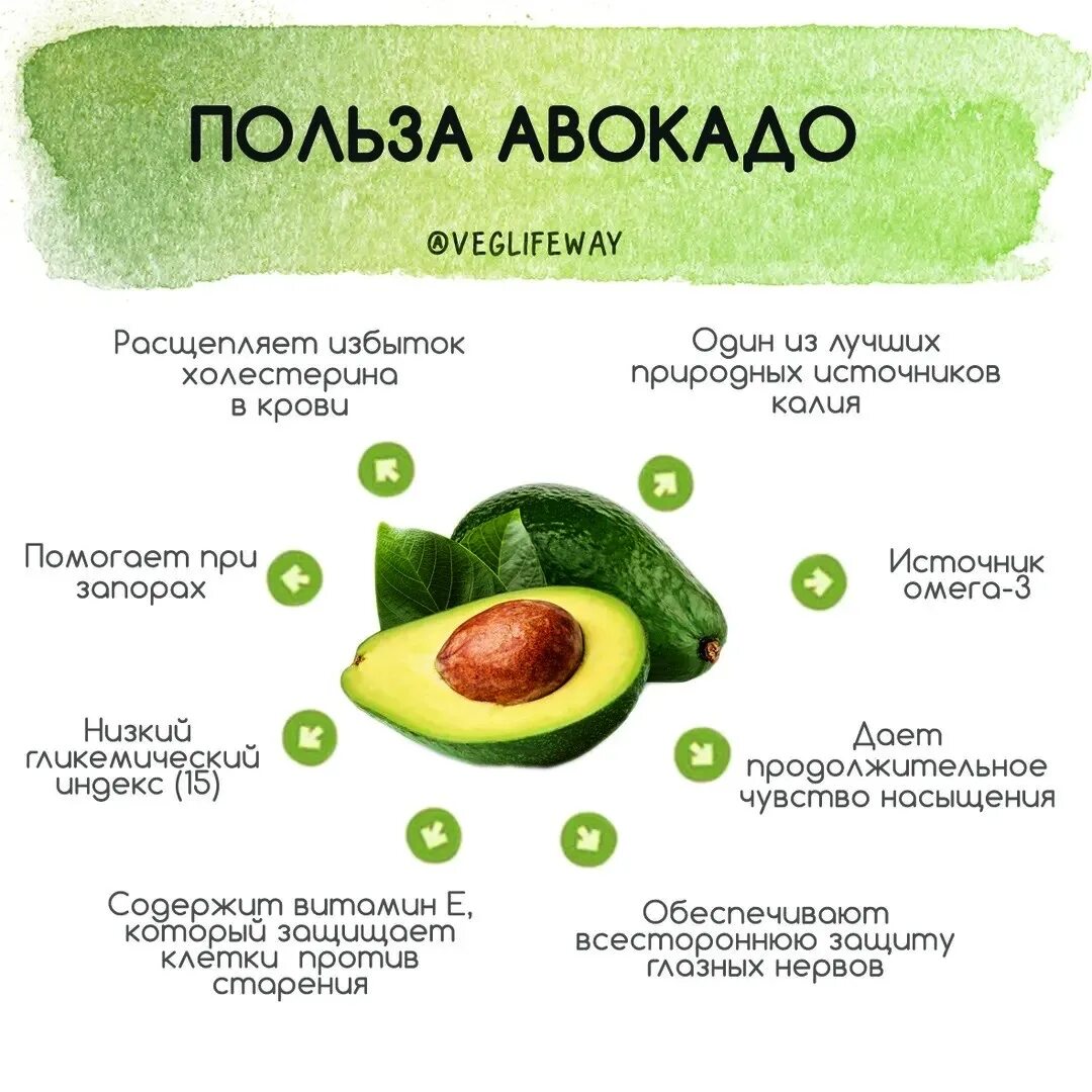 Авокадо польза для здоровья человека. Авокадо польза для здоровья человека. Авокадо польза для здоровья человека. Авокадо польза. Авокадо калорийность польза.