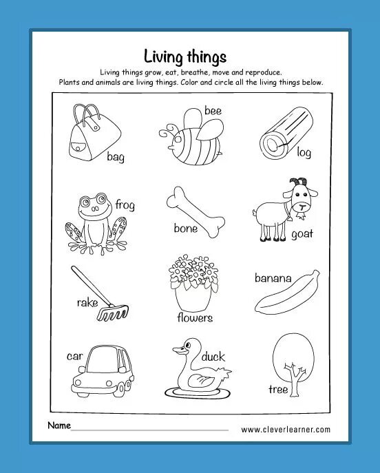 Living and non Living things Worksheet. Living Worksheets. Science Worksheets. Living and non-Living things for Kids Worksheets. Liveworksheets com l