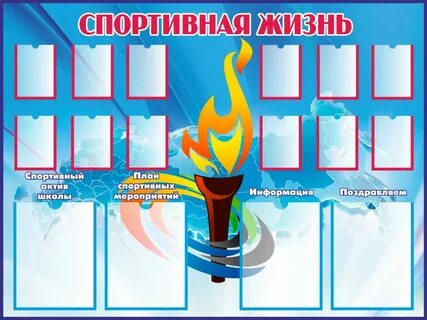 Спортивная жизнь школы
