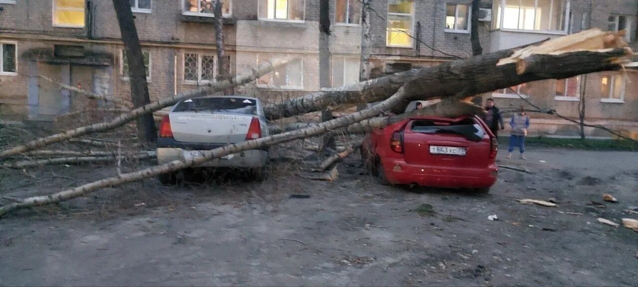 Штормовой ветер метров в секунду. Поваленное дерево. Ураган в Ульяновске. Ураган в Ульяновске вчера. Сильный ветер.