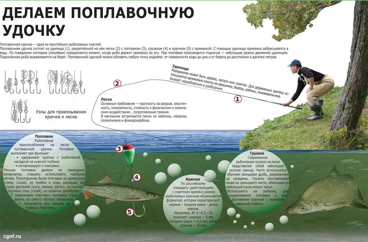 Какой должна быть длина удочки. Толщина лески для поплавочной удочки. Какая должна быть длина лески на поплавочной удочке. Оптимальная длина поводка для поплавочной удочки. Размер лески на поплавочную удочку.