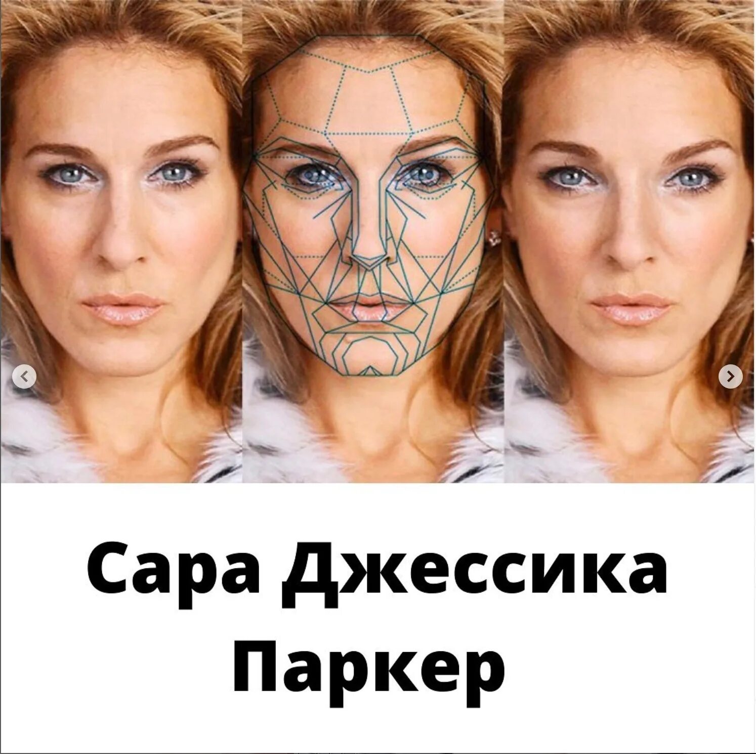 Идеальное лицо программа. Золотое сечение лица. идеальное лицо маска. маска красоты золотое сечение. лицо по золотому сечению.