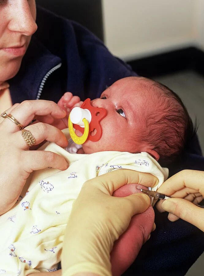 Вакцинация БЦЖ новорожденному. Вакцинация новорожденных в роддоме. Прививка БЦЖ новорожденному. Вакцинация новорожденных в родильном доме. Вакцины в роддоме