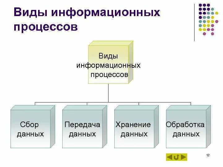 Виды информационных процессов. Виды информационныхпрлцессов. Хранение передача и обработка информации. Перечислите виды информационных процессов.