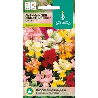 Львиный зев заморозки