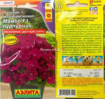 Петуния мамбо какой объем горшка