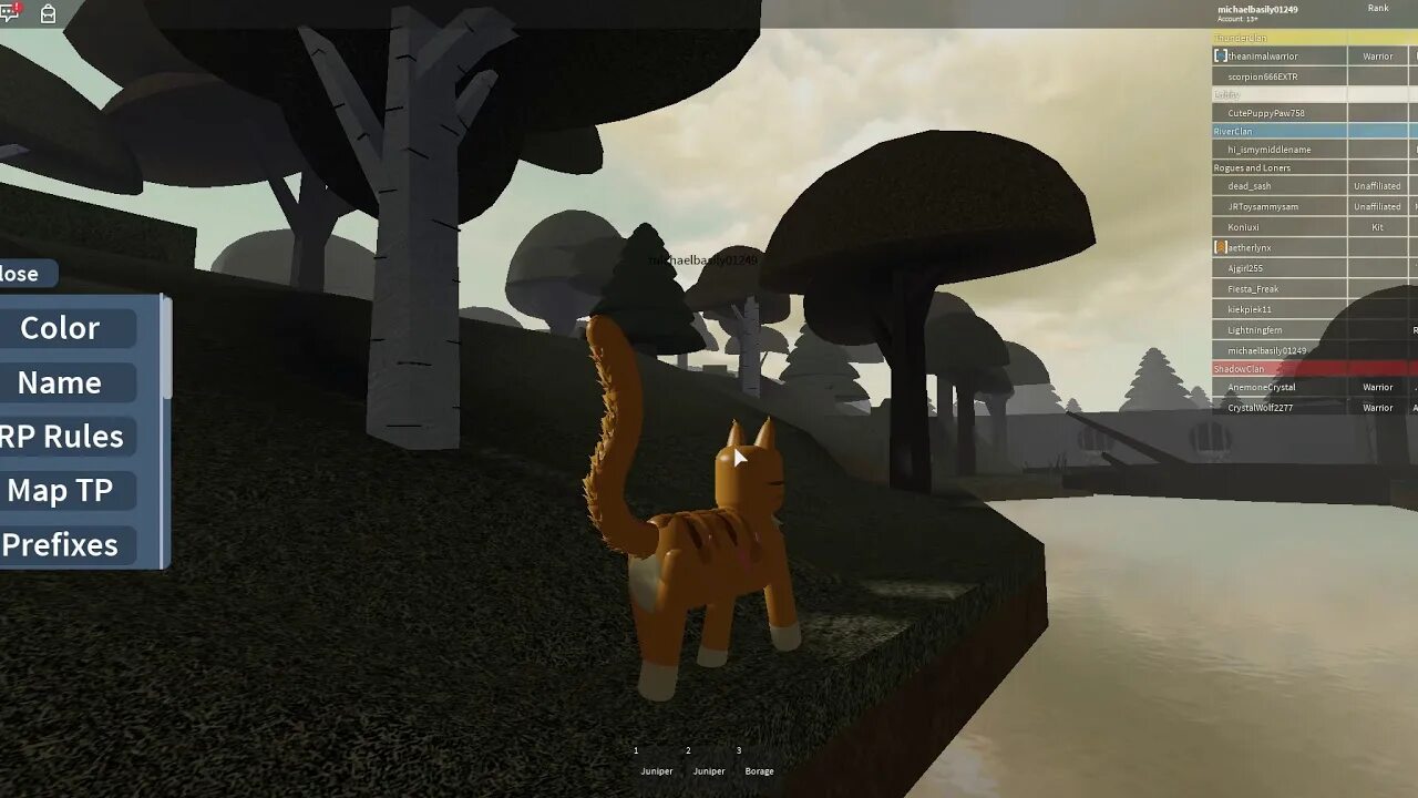 Код на кота роблокс. Roblox коты Воители. Warrior Cats Forest Territory Roblox. Warrior Cats Roblox карта. Коты Воители РОБЛОКС.