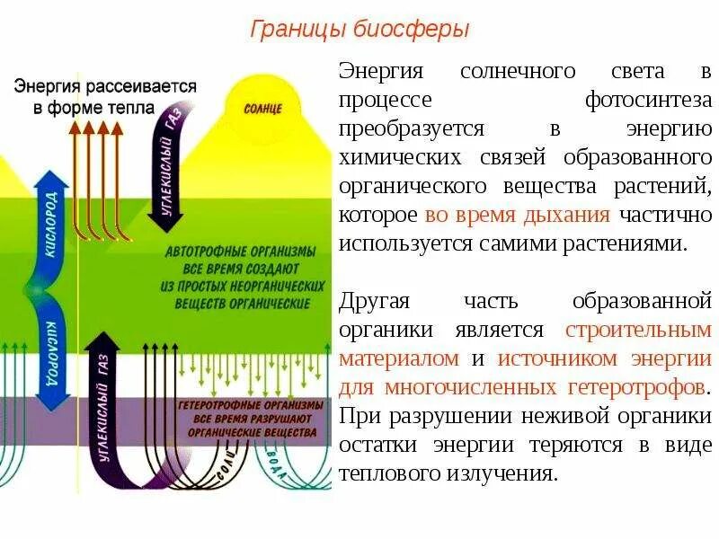 Снабжает темновую фазу энергией. Энергия биосферы. Энергия преобразуется в энергию. Радиация в биосфере. Энергия солнечного света преобразуется.