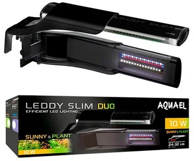 Aquael leddy plant