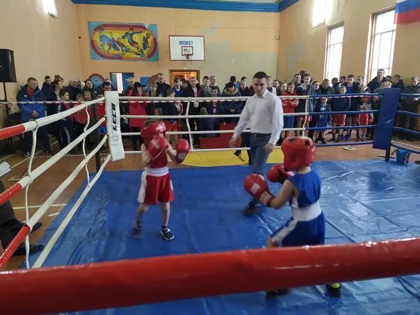 В турнире по боксу принимают участие 72. В турнире по боксу принимают участие 72. Спортивная школа бокса им. В турнире по боксу принимают участие 72. Боксеры.