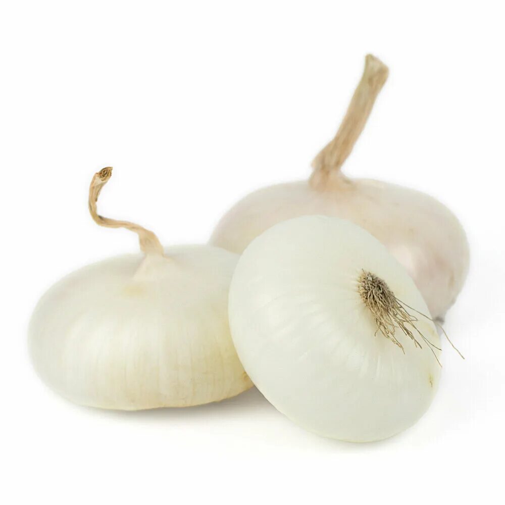 Лук ялтинский белый. Белый плоский лук сорт. Лук ялтинский белый. Семена гавриш русский вкус лук репчатый крепыш 1 г. Лук крымский красный плоский.