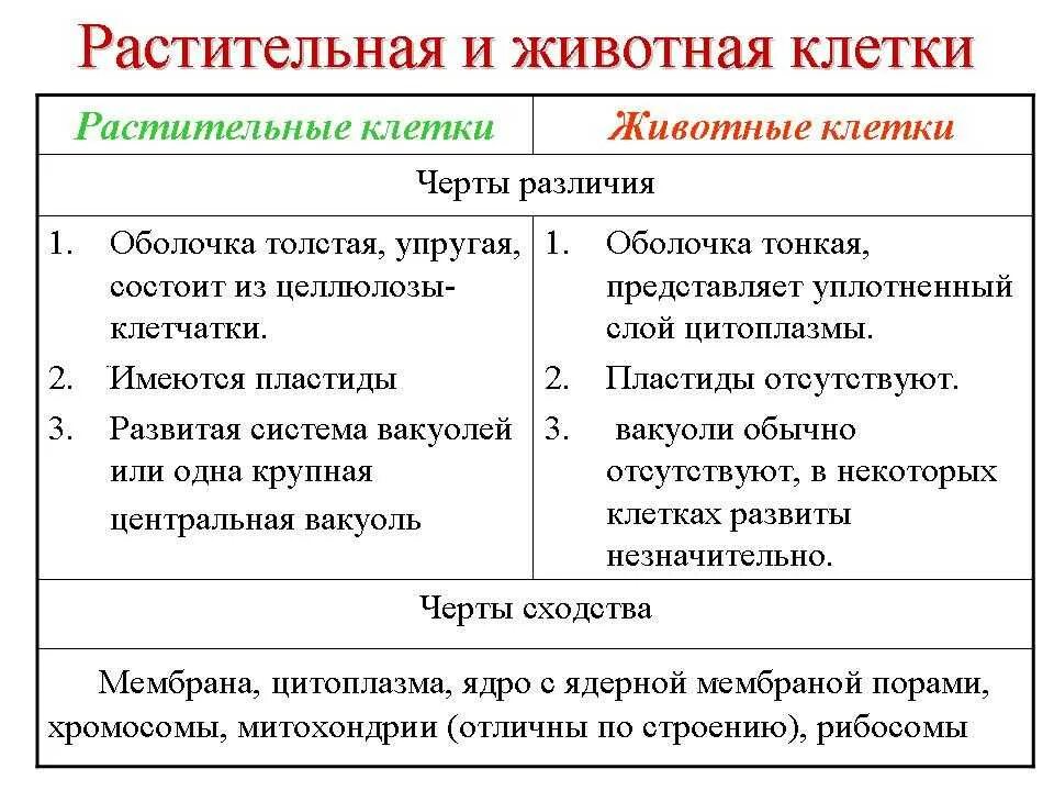 Сходства и различия строения клеток растений и животных. Строение растительной клетки и животной клетки сходства и различия. Черты сходства клеток растений и животной клетки. Сходства и отличия растительной и живой клетки таблица. Как отличить клетки