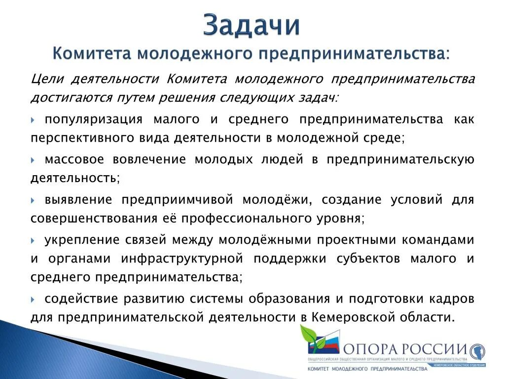 Задачи молодежных организаций. Виды деятельности молодежи. Молодежное предпринимательство презентация. Цели и задачи малого бизнеса. Проблемы молодежного предпринимательства.