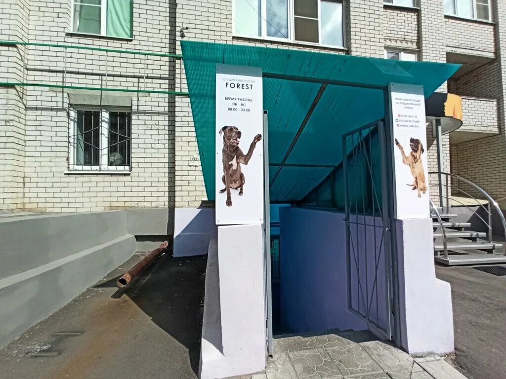 грин форест. завод напольных покрытий green forest. воронеж улица ворошилова 1/5. улица лесной массив воронеж. воронеж лесная 1.