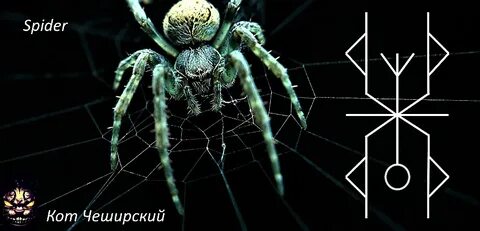 Защита паукообразных