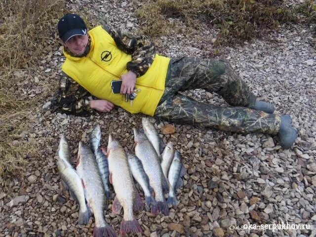 Осипов рыбалка. Ока серпухов рыбалка. Река ока рыбалка серпухов. Ока серпухов рыбалка. Рыбалка на оке в серпуховском районе.