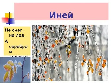 Не снег не лед серебром деревья уберет