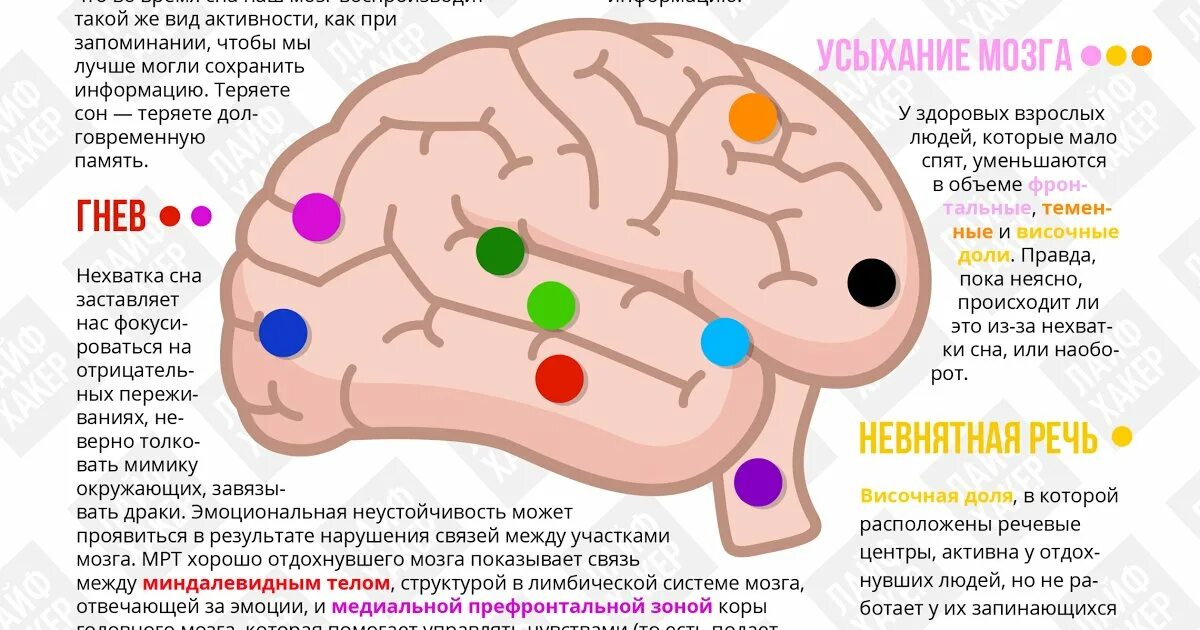 Ощущение провалов. Центры головного мозга. Часть мозга отвечающая за сон. Часть мозга отвечающая за СОГ. Мозг ребенка.