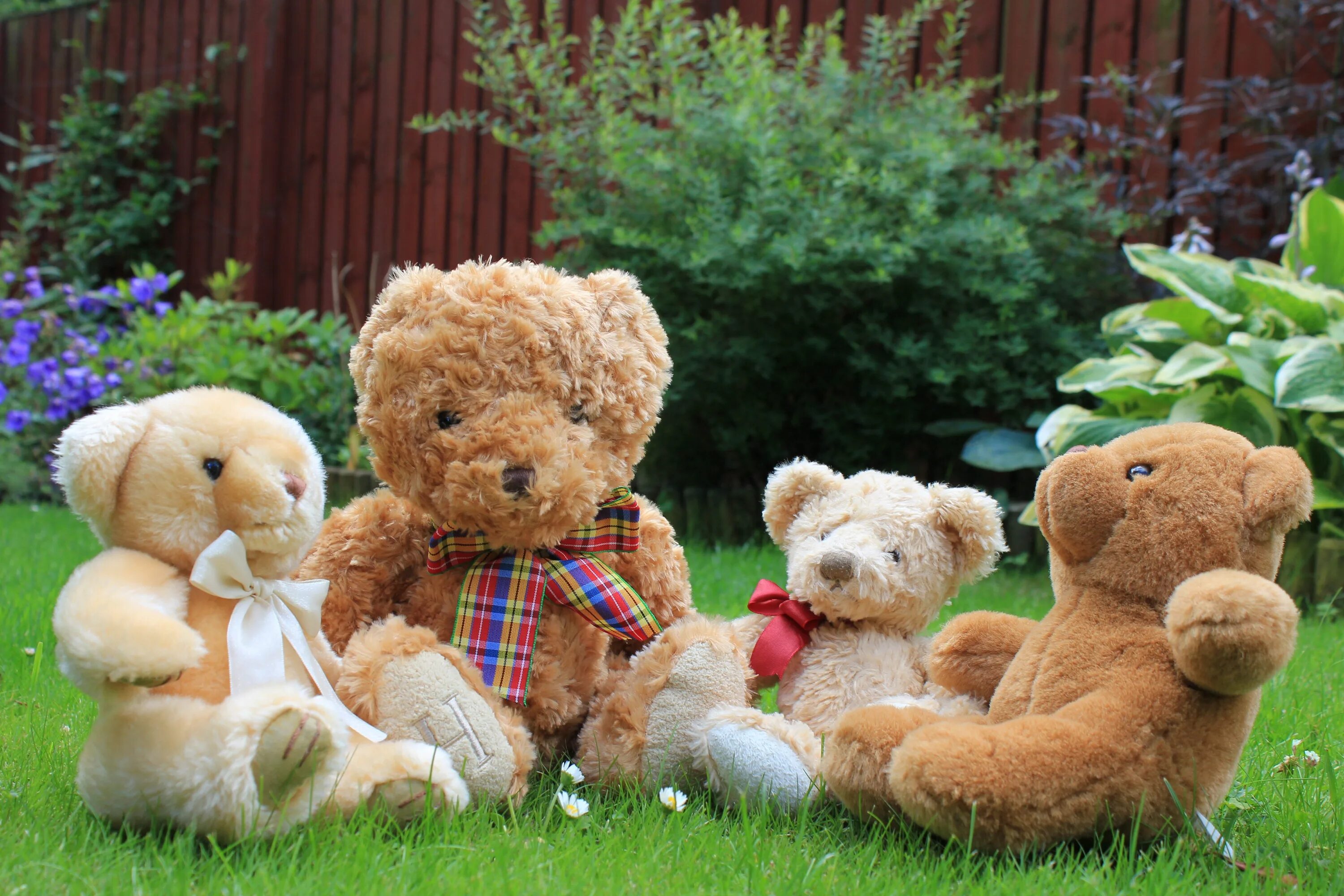 Плюшевый мишка. Teddy. Медведь Тедди. Красивые детские игрушки мягкие.