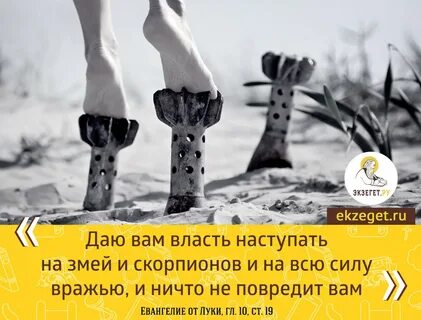 Не смотря на все усилия