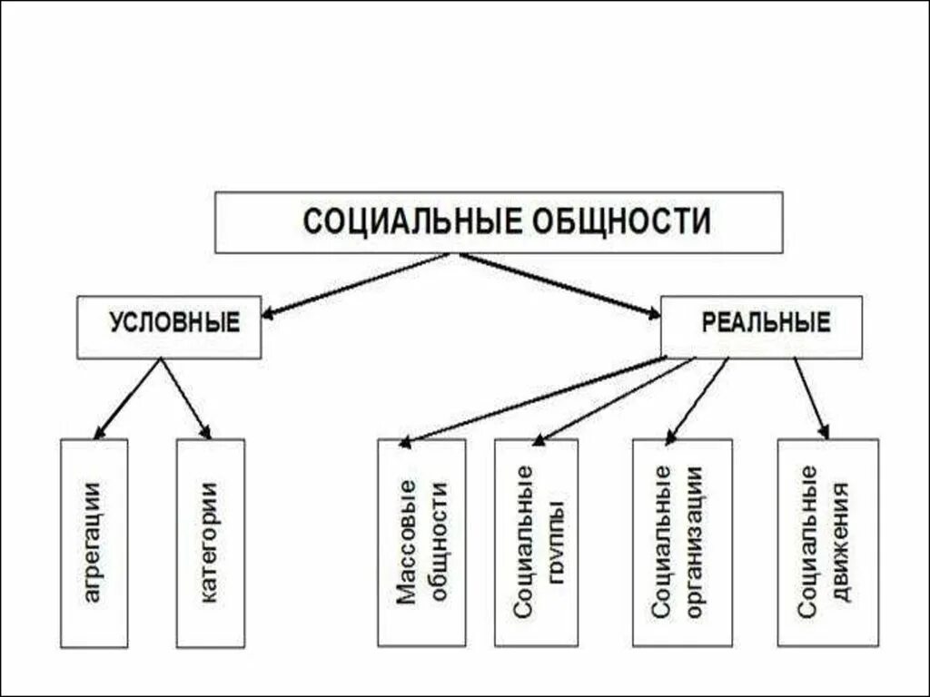 Реальная социальная общность. Классификация социальных общностей. Реальные социальные общности. Социальные общности примеры. Условные социальные общности.