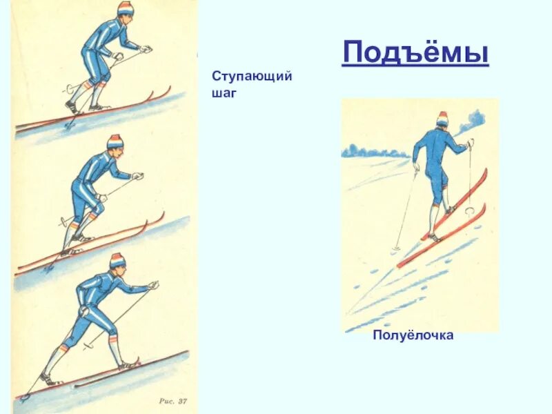 Подъем шагом. Подъем ступающим шагом на лыжах. Подъем скользящим шагом. Подъем скользящим шагом на лыжах. Ступающий шаг на лыжах.