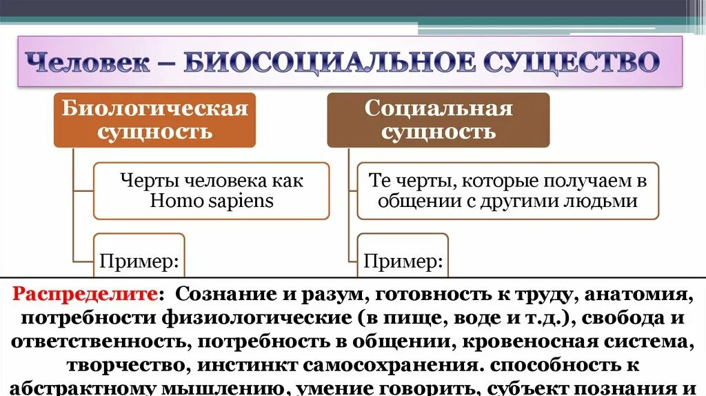 Примеры биологического социального общения. Социальная Сущностьч елоака. Признаки социальной сущности человека. Биологическая сущность человека. Биологическая и социальная природа человека.