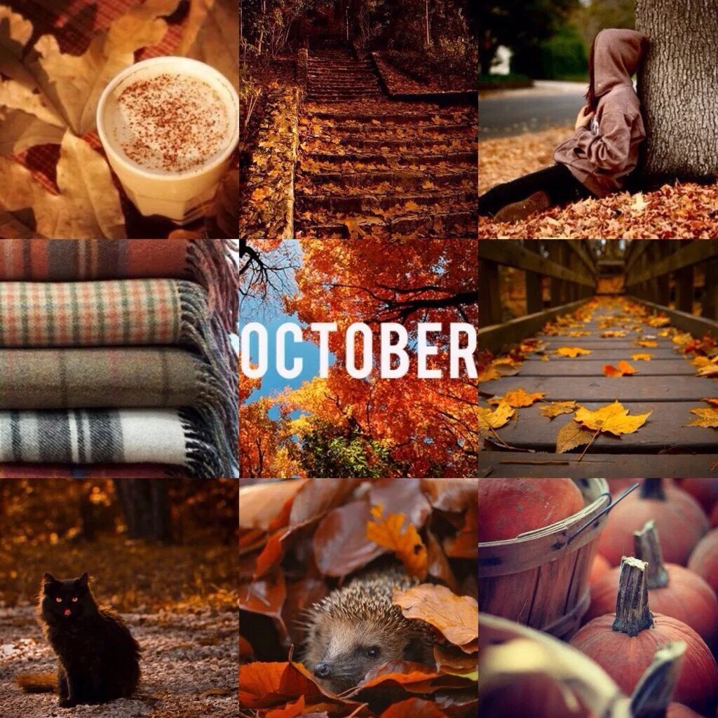 уходит осень. уютной осени надпись. волшебный зонтик осени. золотая осень сериал. октябрь удивляет.