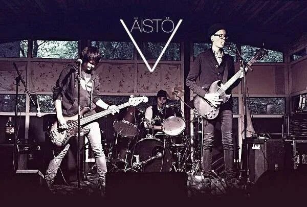 Apostate of hate. Firienholt группа. Керкко коскинен фото. Skin 4 discography. Fi band.