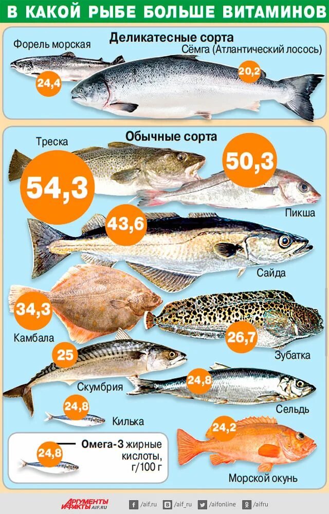 Можно ли есть форель. Ценные сорта рыбы. Полезная рыба. Сорта морской рыбы. Наиболее полезные сорта рыб.