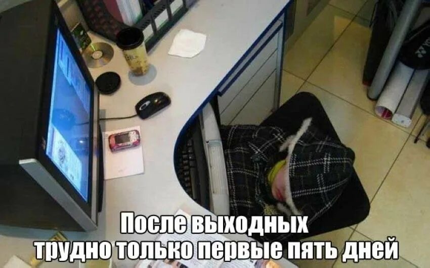 Рабочие дни после выходных. Первый день после выходных. первый день после праздников.