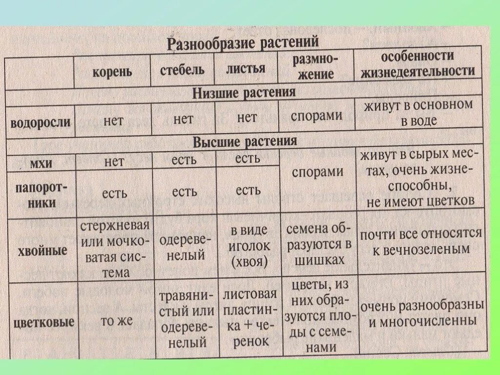 Основная характеристика низших растений. Высшие споровые растения сравнительная таблица. Биология сравнительная характеристика отделов растений. Характеристика споровых растений таблица. Высшие споровые растения таблица.