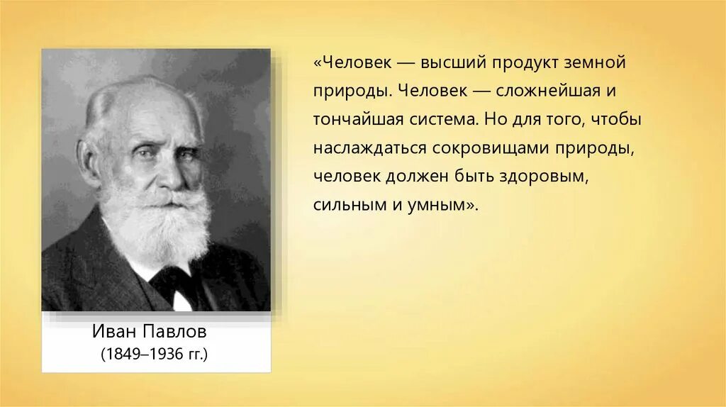 Человек высший продукт земной природы объяснить высказывание. Системы организма человека Павлов. Высшая нервная деятельность Инфоурок.