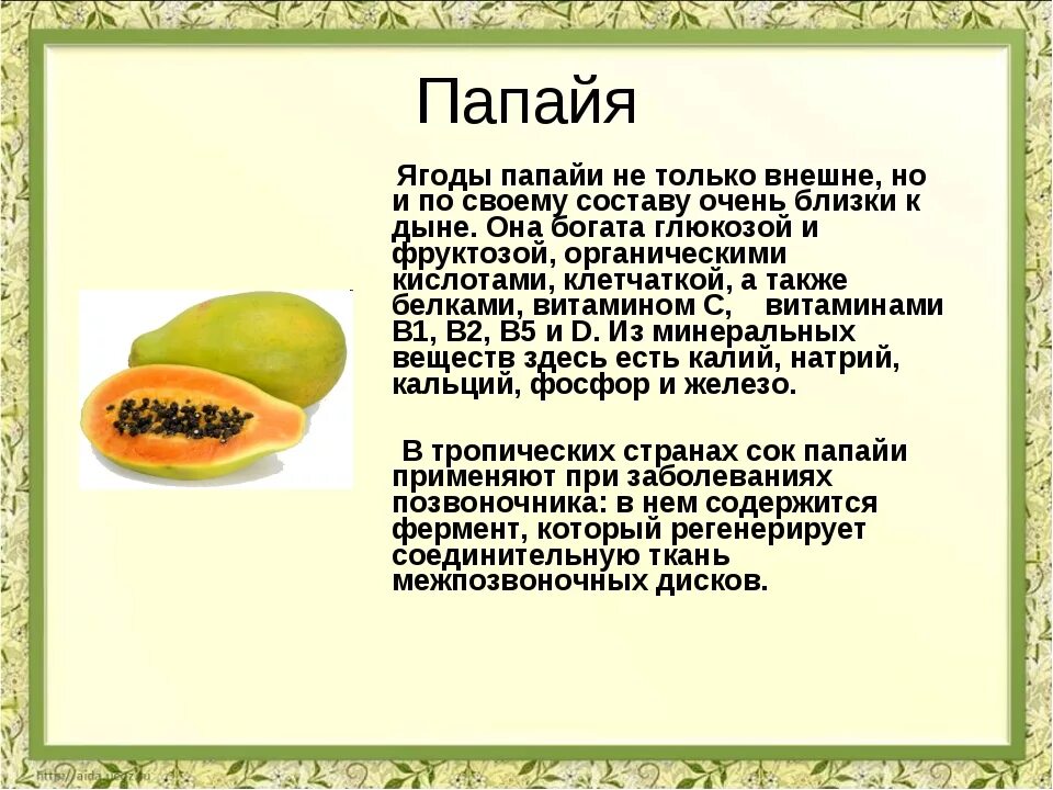 Манго фрукт полезные свойства и противопоказания. Папайя фрукт полезные. Чем полезна папайя. Польза папайи для организма. Папайя полезные свойства.