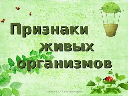 Биологические признаки 5 класс