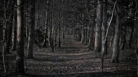 Scary park