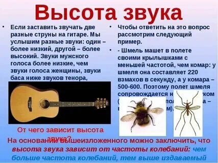 Видео со звуком как называется. Видео со звуком как называется