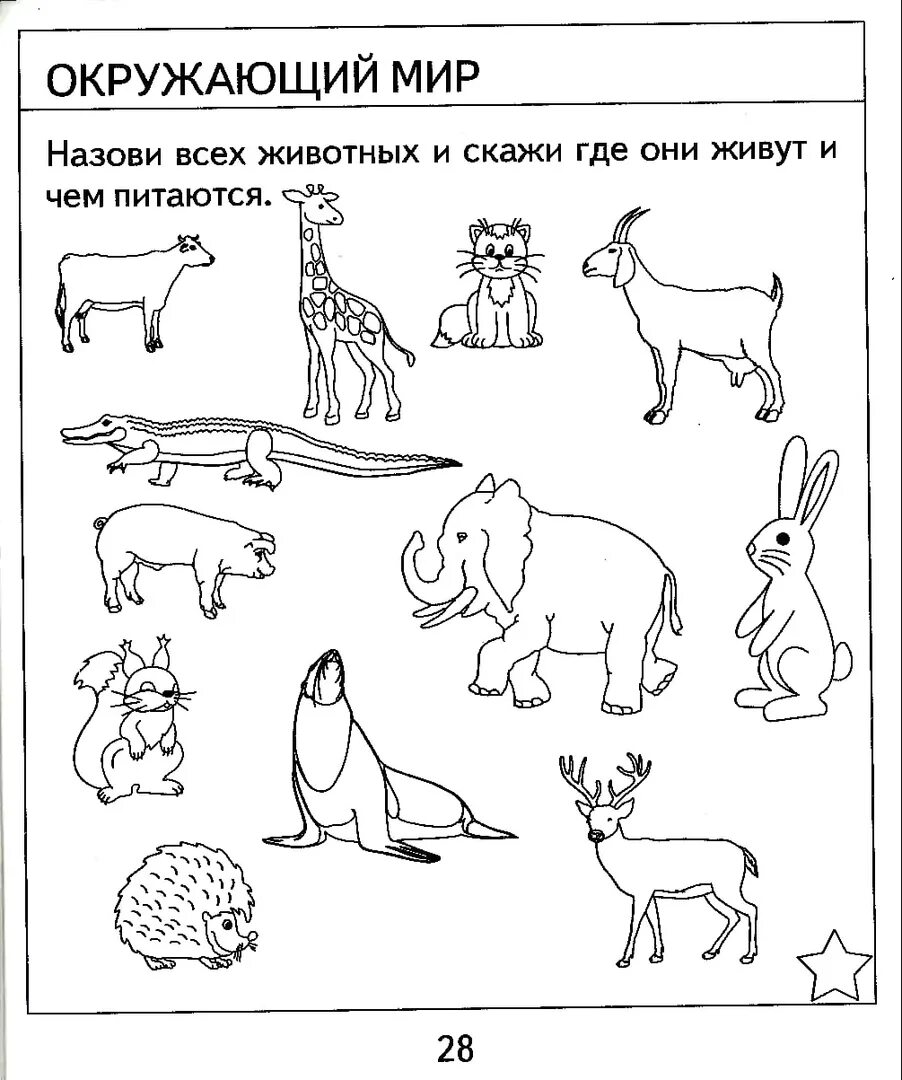 Задания для дошкольников окружающий мир распечатать. Задания по окружающему миру. Задания по окружающему миру для дошкольников. Задания по окружающими миру. Задании по окружающему мире для дошкольников.