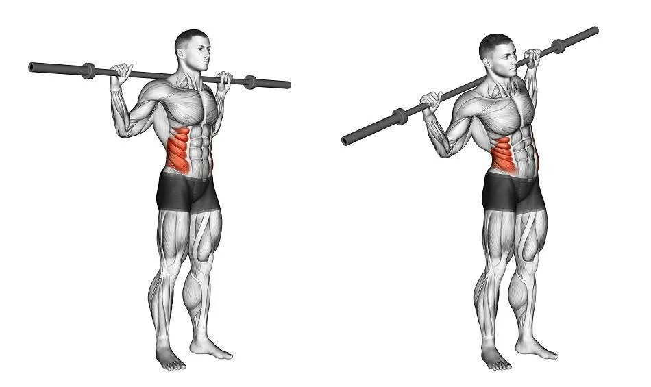 Штанга поясница. Подъем штанги на бицепс обратным хватом. Упражнения на дельтовидные мышцы со штангой. Занятия со штангой стоя. Упражнения с грифом.