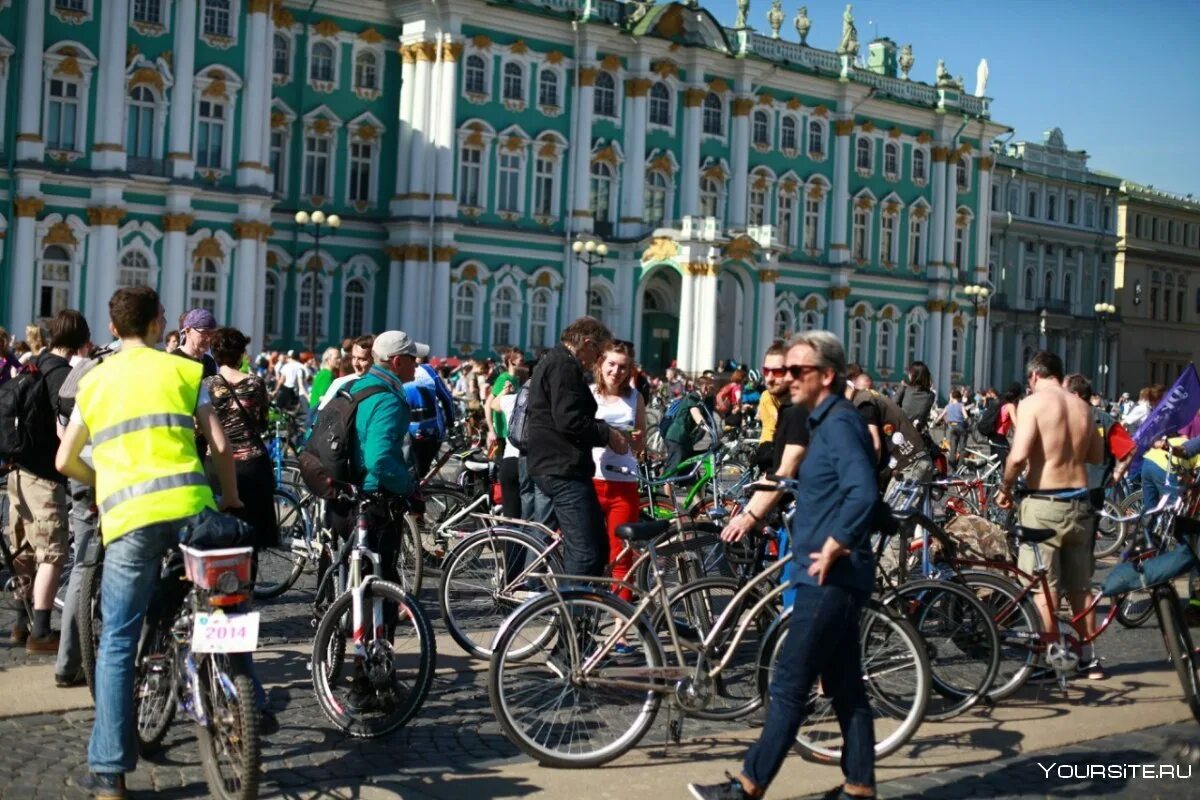 Велосипедист на крестовском проспекте. Велосипедист в Петербурге. Велосипедист в городе. Велодорожки в Питере. Санкт Петербург велосипедисты.