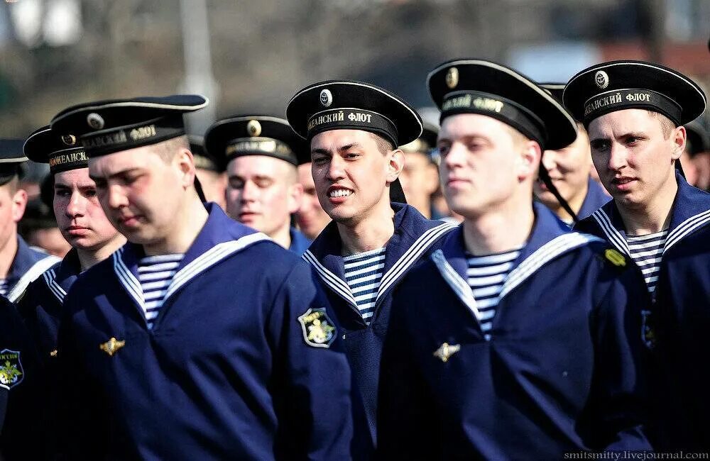 Северный флот служить. Форма ВМФ Балтийского флота. Матрос ТОФ. ВМФ Северный флот форма. Униформа Матросов ВМФ РФ.