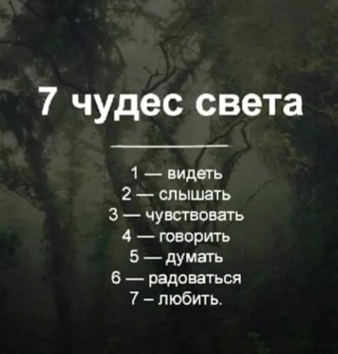 7 Чудес света видеть слышать. Семь чудес света видеть слышать чувствовать говорить. Семь чудес видеть слышать.... Семь чудес света это видеть слышать любить.