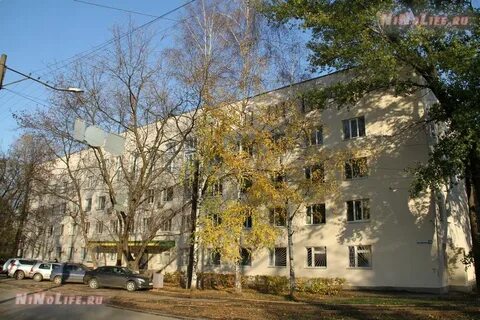Ул кулибина