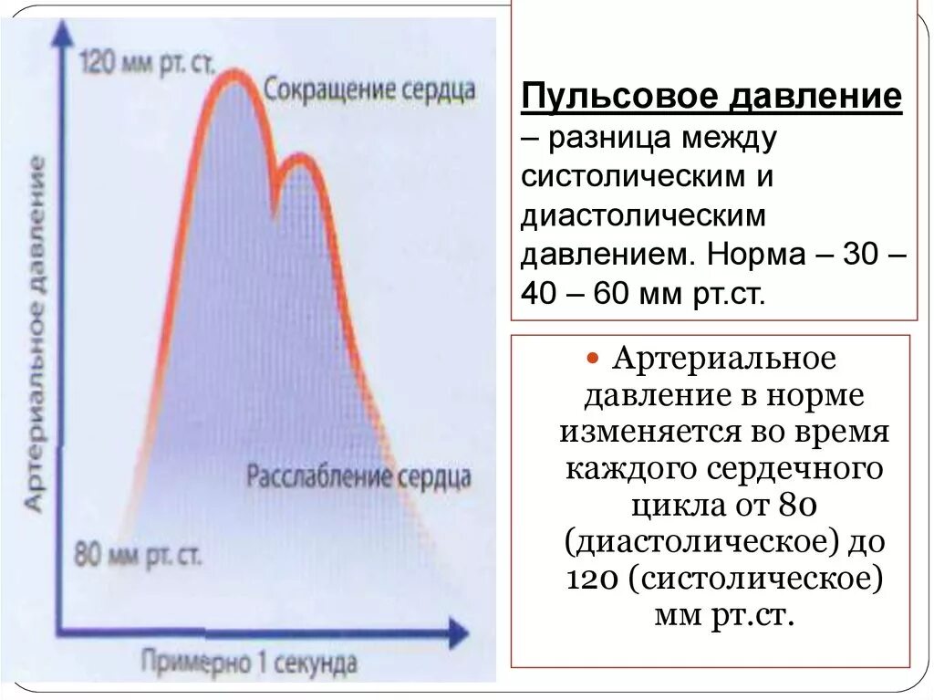 Разница между систолическим и диастолическим давлением. Нормальные показатели систолического давления. Разница систолического и диастолического давления норма. Разница между систолой и диастолой. Почему систолическое выше диастолического