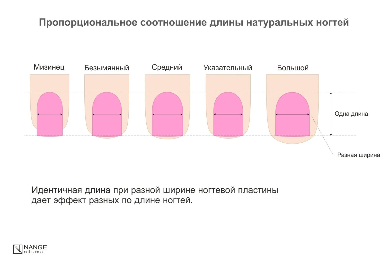 Толщина нарощенного