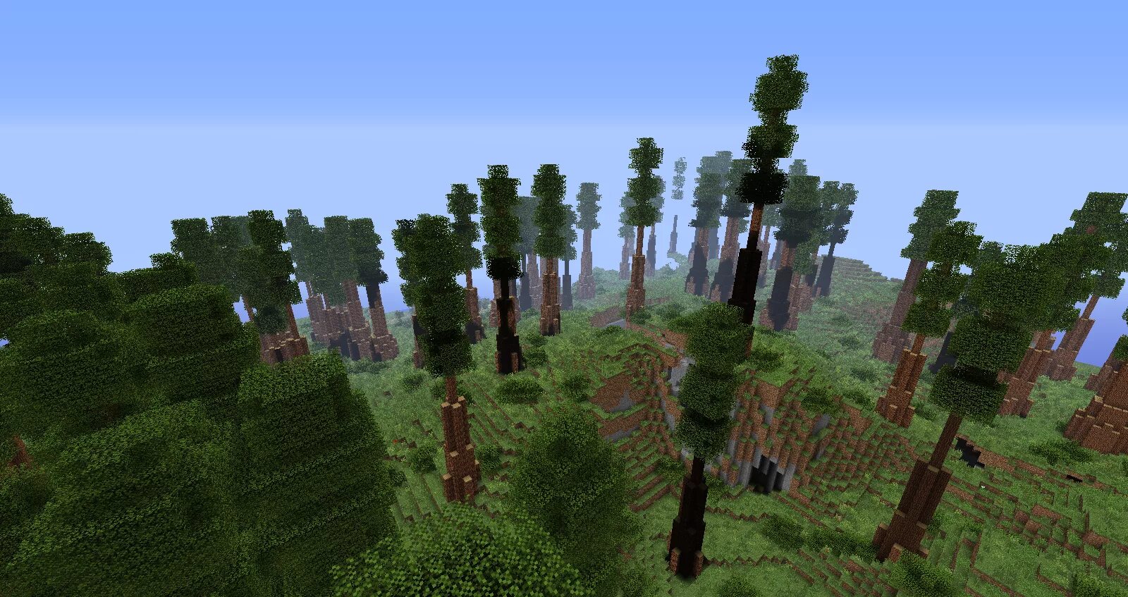 Redwood биом Minecraft. Biomes o plenty мод Redwood Forest. Биом Форест майнкрафт. Biomes o plenty Таинственная роща.