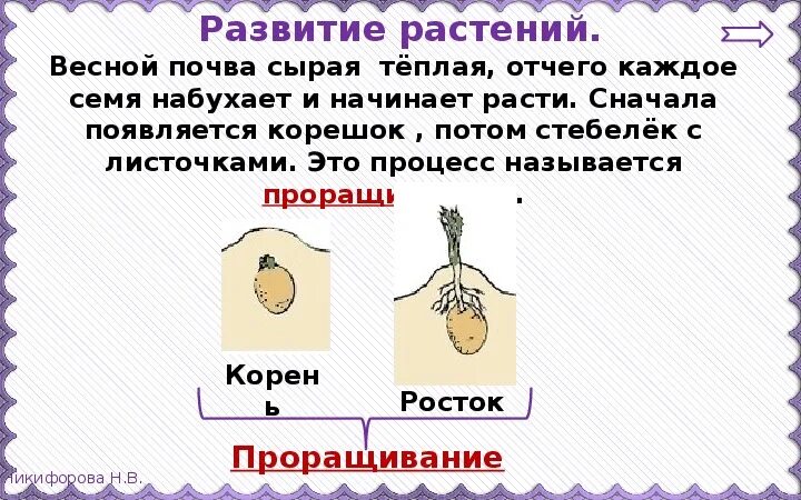 Урок 3 класс размножение и развитие растений. Размножение и развитие растений. размножение и развитие растений 3 класс окружающий мир. доклад на тему размножение и развитие растений. размножение и развитие растений пересказ.