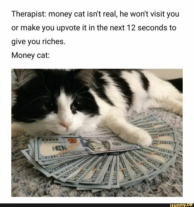 Сайт кэт на деньги. Cat money. Котик и деньги подпись. Cat money meme. Мем котенок с тысячей рублей.