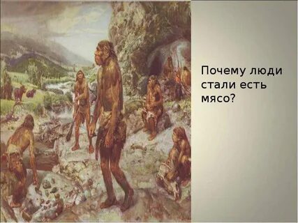 Жизнь древних людей 3 класс