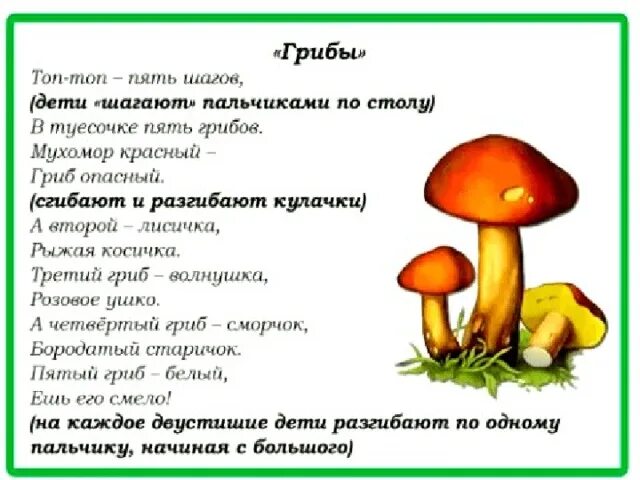 Пешие прогулки по лесу. 5 шагов в лес. Трайл раннинг. Пешие прогулки в лесу. 5 шагов в лес.